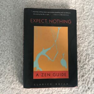Expect Nothing: A Zen Guide