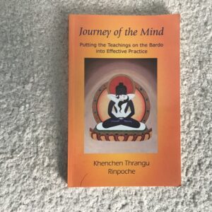 Journey of the Mind
