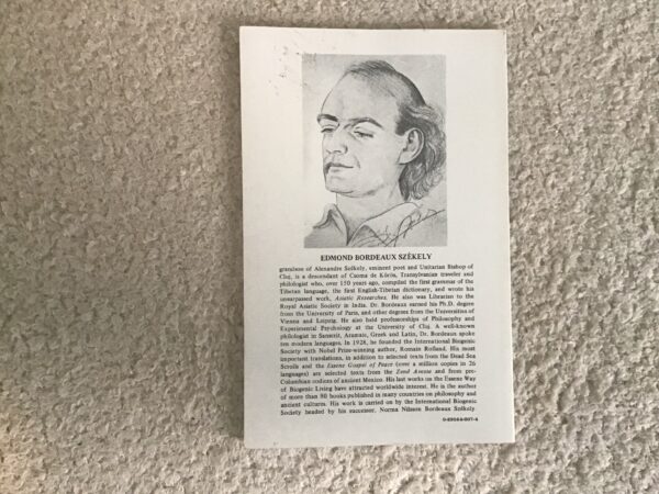 The Essene Jesus - Image 3