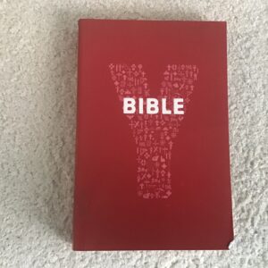 Youcat Bible