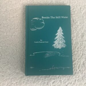 Beside the Still Water