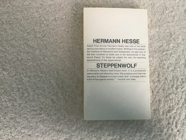 Steppenwolf - Image 3