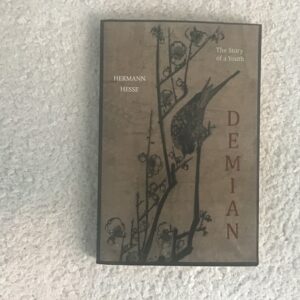 Demian: The Story of a Youth