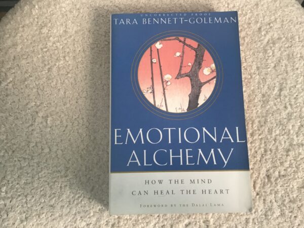 Emotional Alchemy: How the Mind Can Heal the Heart