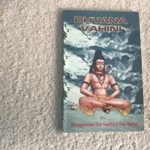 Dhyana Vahini