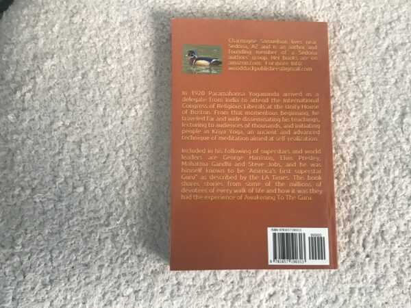 Awakening to the Guru - Image 3