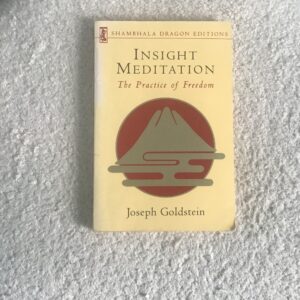 Insight Meditations: The Practice of Freedom