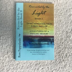 Reconciled by the Light Book 2: Spirit Messages from a Teen Suicide