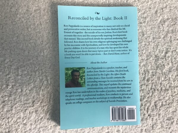 Reconciled by the Light Book 2: Spirit Messages from a Teen Suicide - Image 3