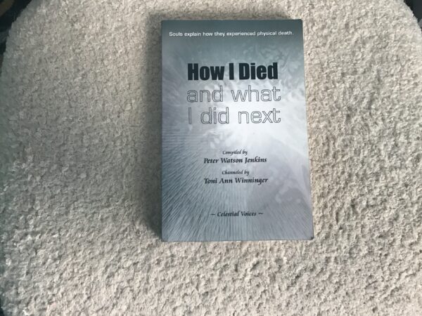 How I died and What I Did Next