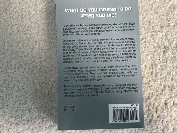 How I died and What I Did Next - Image 3