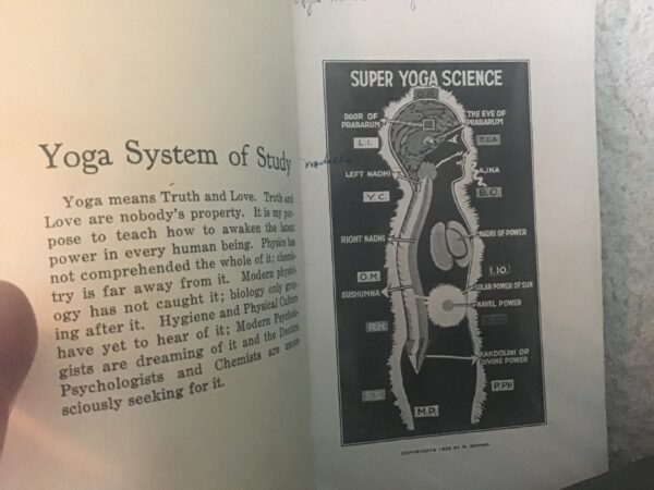 Yoga System of Study - Image 3