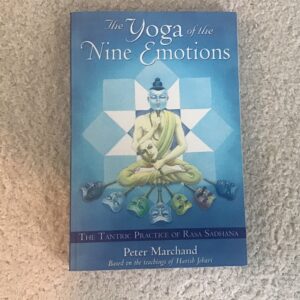 The Yoga of the Nine Emotions