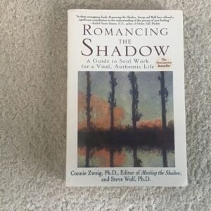 Romancing the Shadow: A Guide to Soul Work for a Vital Authentic Life