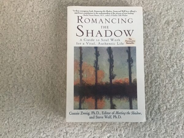Romancing the Shadow: A Guide to Soul Work for a Vital Authentic Life