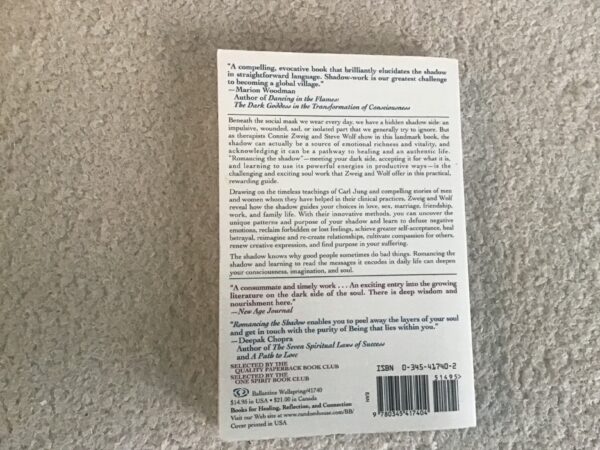 Romancing the Shadow: A Guide to Soul Work for a Vital Authentic Life - Image 3