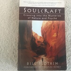 Soulcraft: Crossing Into Mysteries of the New Age