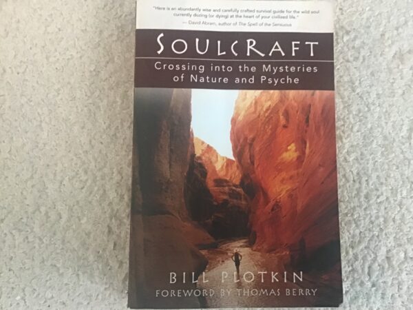 Soulcraft: Crossing Into Mysteries of the New Age