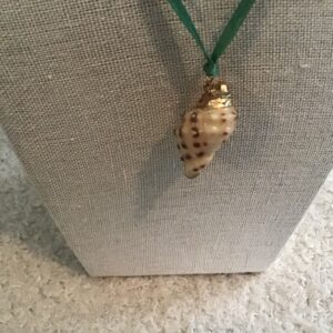 Conch Shell Necklace