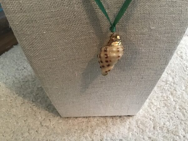 Conch Shell Necklace