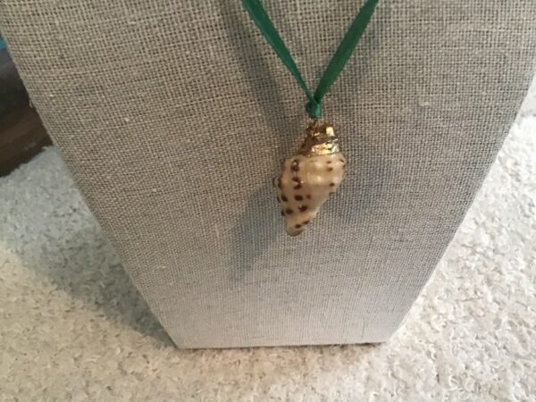 Conch Shell Necklace - Image 4