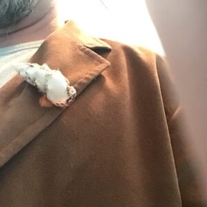 Conch Shell Pin