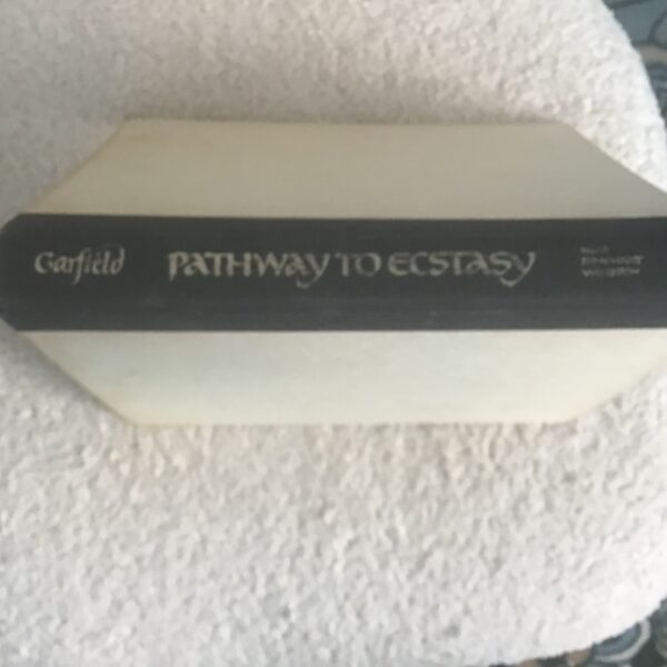 Pathway to Ecstasy: The Way of the Dream Mandala - Image 3