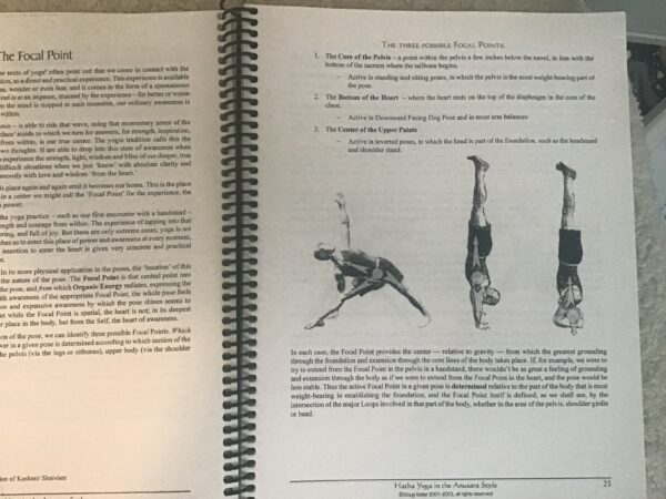 Anusara Yoga: Hatha Yoga in the Anusara Style - Image 4