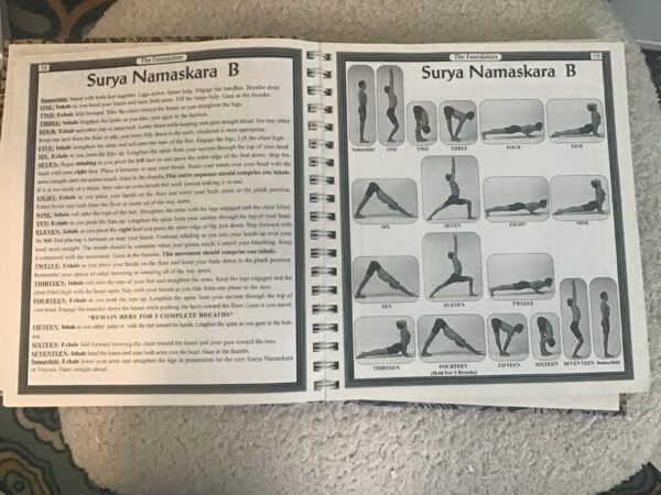 Ashtanga Yoga: The Practical Manual - Image 4