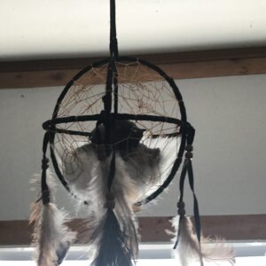 3D Buffalo Dream Catcher