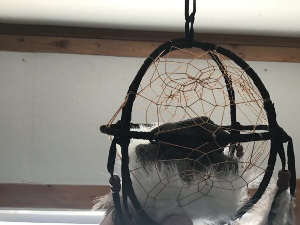 3D Buffalo Dream Catcher - Image 3