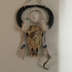 Horned Animal Skull Dream Catcher: With Wolf Head
