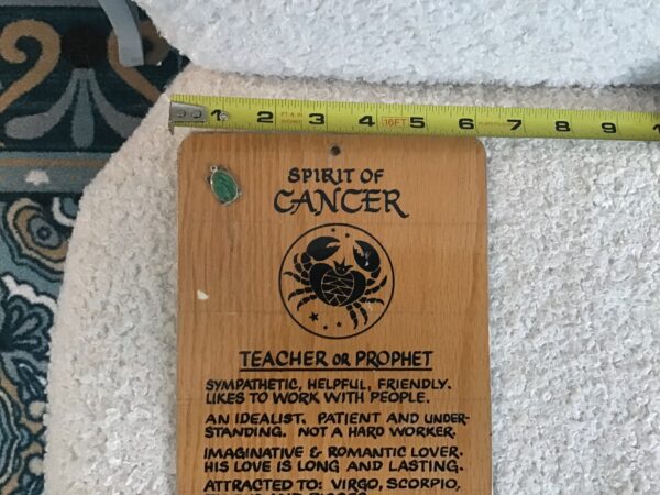 Spirit of Cancer Wall Hanging - Image 5