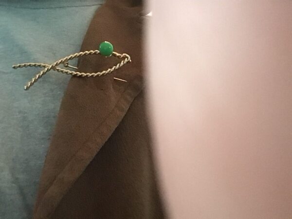 Green Eyed Fish Pin - Image 3