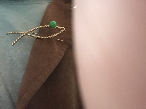 Green Eyed Fish Pin